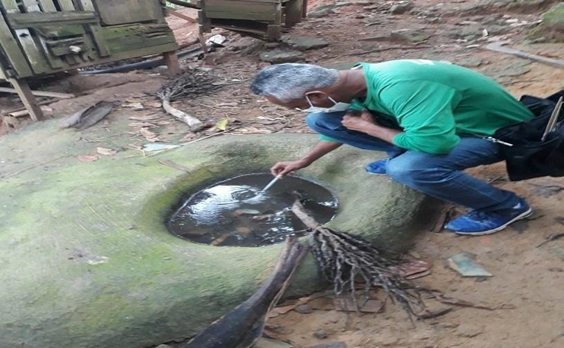 Combate à Dengue: Visitas domiciliares e Dia D programados para este sábado (25) e domingo (26)