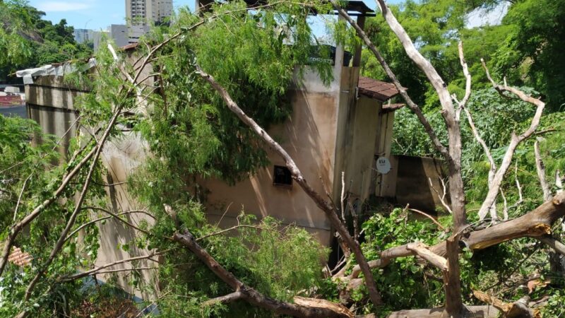 Chuvas: Deslizamento de encosta atinge seis residências em Gurigica e Jaburu