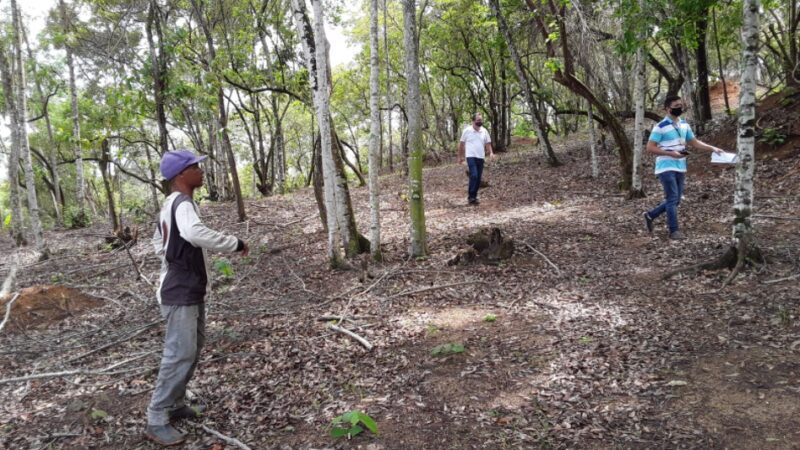Idaf flagra desmatamento em zona rural da Serra