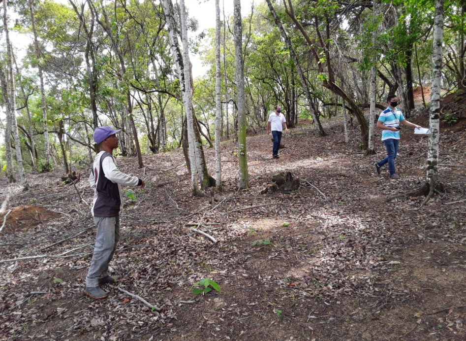 Idaf flagra desmatamento em zona rural da Serra