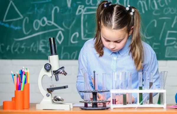 Steam Girls: Meninas do futuro: escolas da Serra vão receber projeto nas escolas municipais