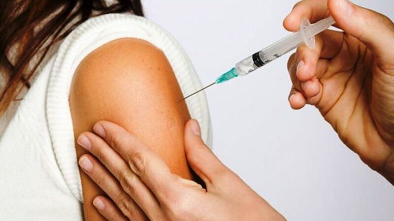 Saúde: Serra avança na ampliação da vacinação em humanos contra a raiva