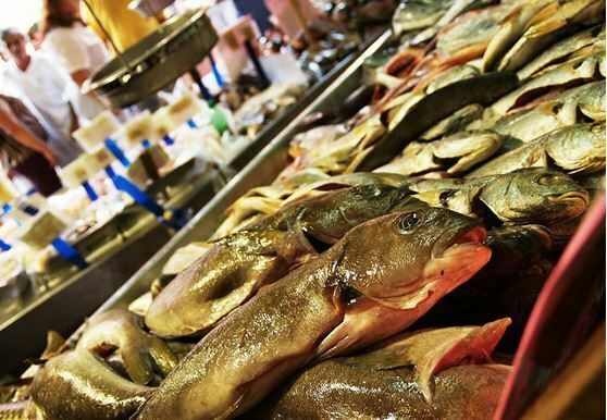 Rota do pescado: saiba onde comprar peixe fresco no município
