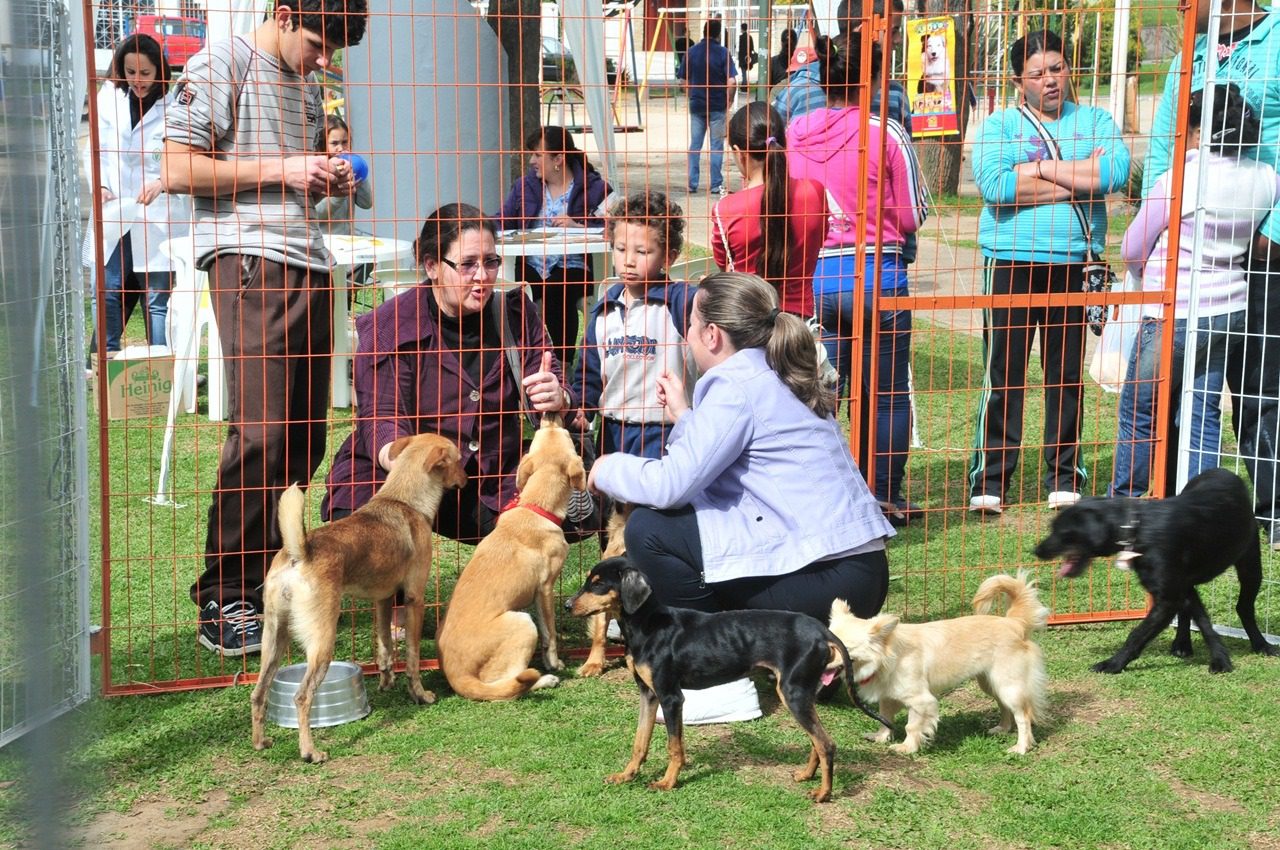 Prefeitura realiza Feira de Adoção de Animais neste sábado (29)