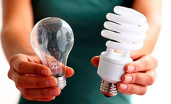 EDP oferece à população a oportunidade de trocar suas lâmpadas por modelos mais eficientes de forma gratuita