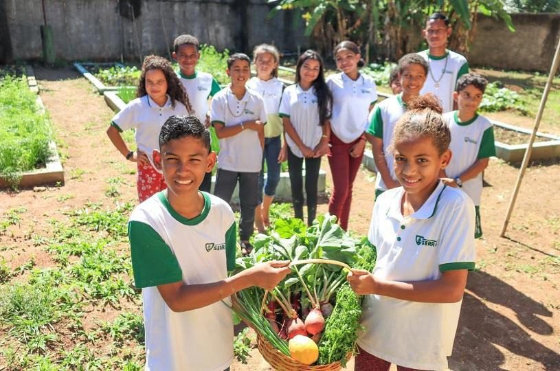Cultivando saúde e sustentabilidade: horta escolar e iniciativa com sementes envolve a garotada em saladas e na conservação da natureza