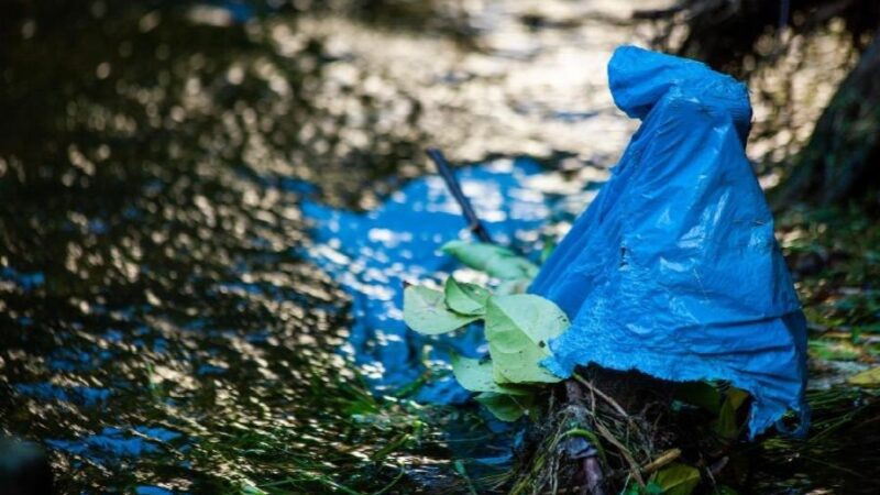 Ação Ambiental “Lixo Fora D’Água” está Programada para Este Domingo (26) em Manguinhos e na Lagoa do Juara