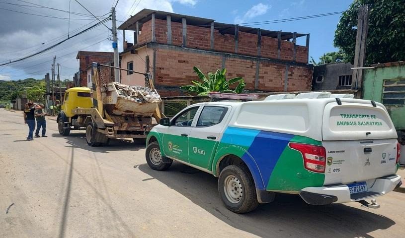 Infração Ambiental: Fiscais Flagram Descarte Irregular de Lixo e Aplicam Multa